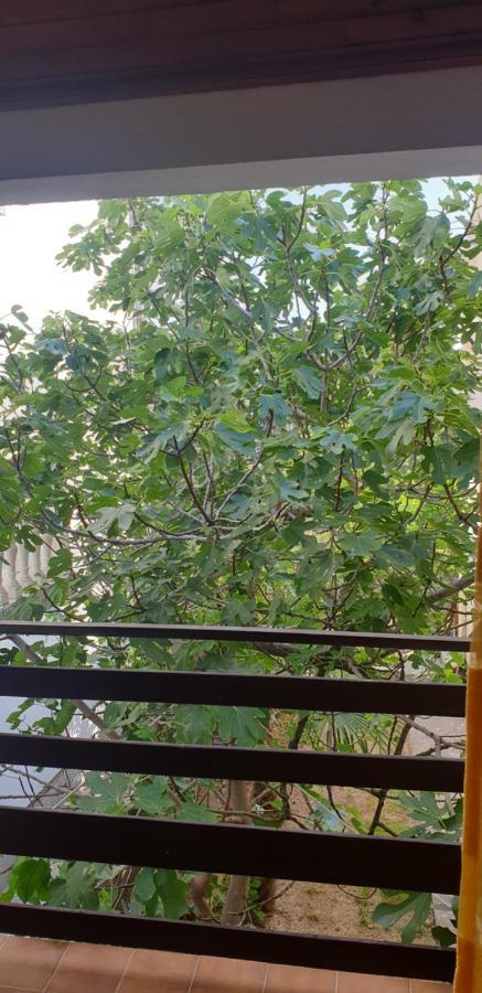 Apartment Tonci ラブ エクステリア 写真